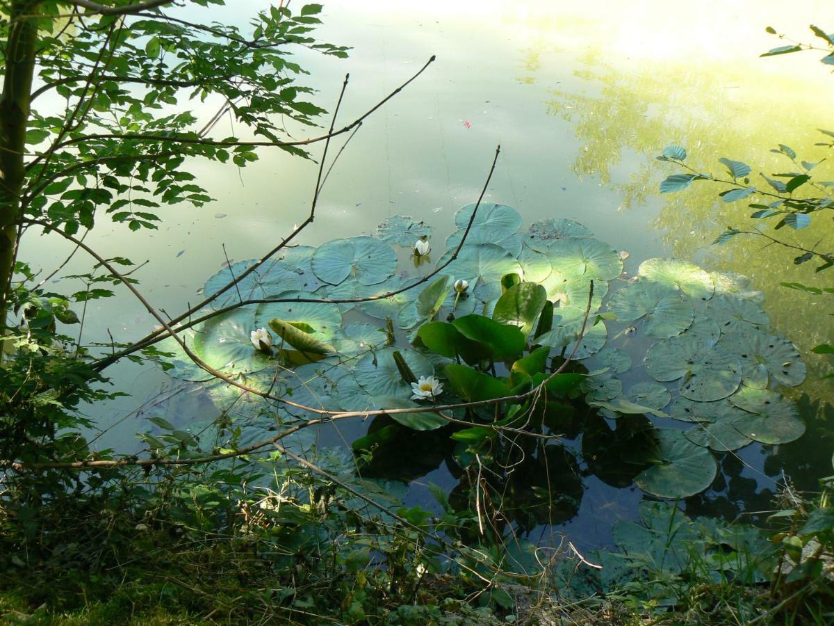 La Maison De L'Etang Sampigny Dış mekan fotoğraf